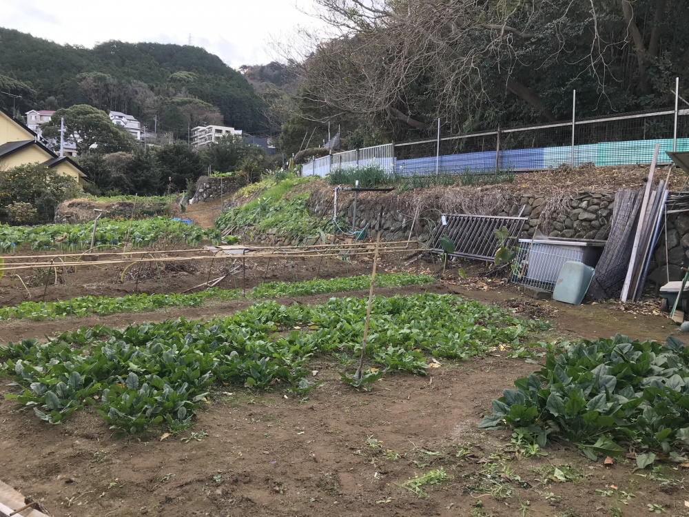 熱海市下多賀の土地（売地）